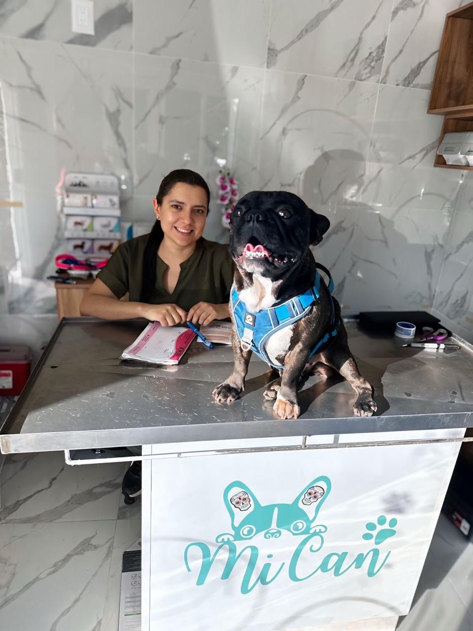 Consulta veterinaria profesional en Mi Can - Cuernavaca